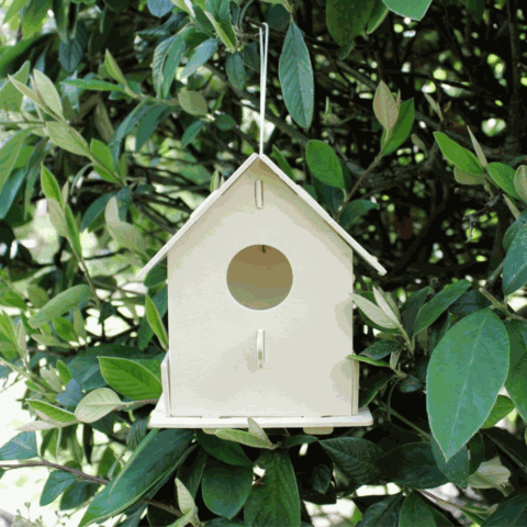 Cabane à oiseaux